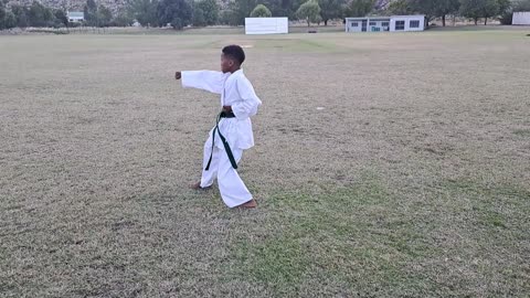 B18 - Meshaan Makamella - Green - Pinan Nidan