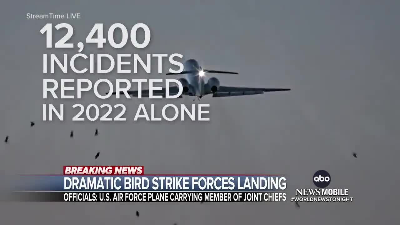 Bird strike forces emergency landing of US Air Force plane