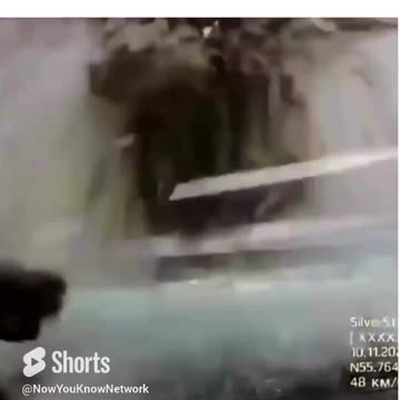 My New Greatest Fear!!! | Car Crash | Bridge Accident