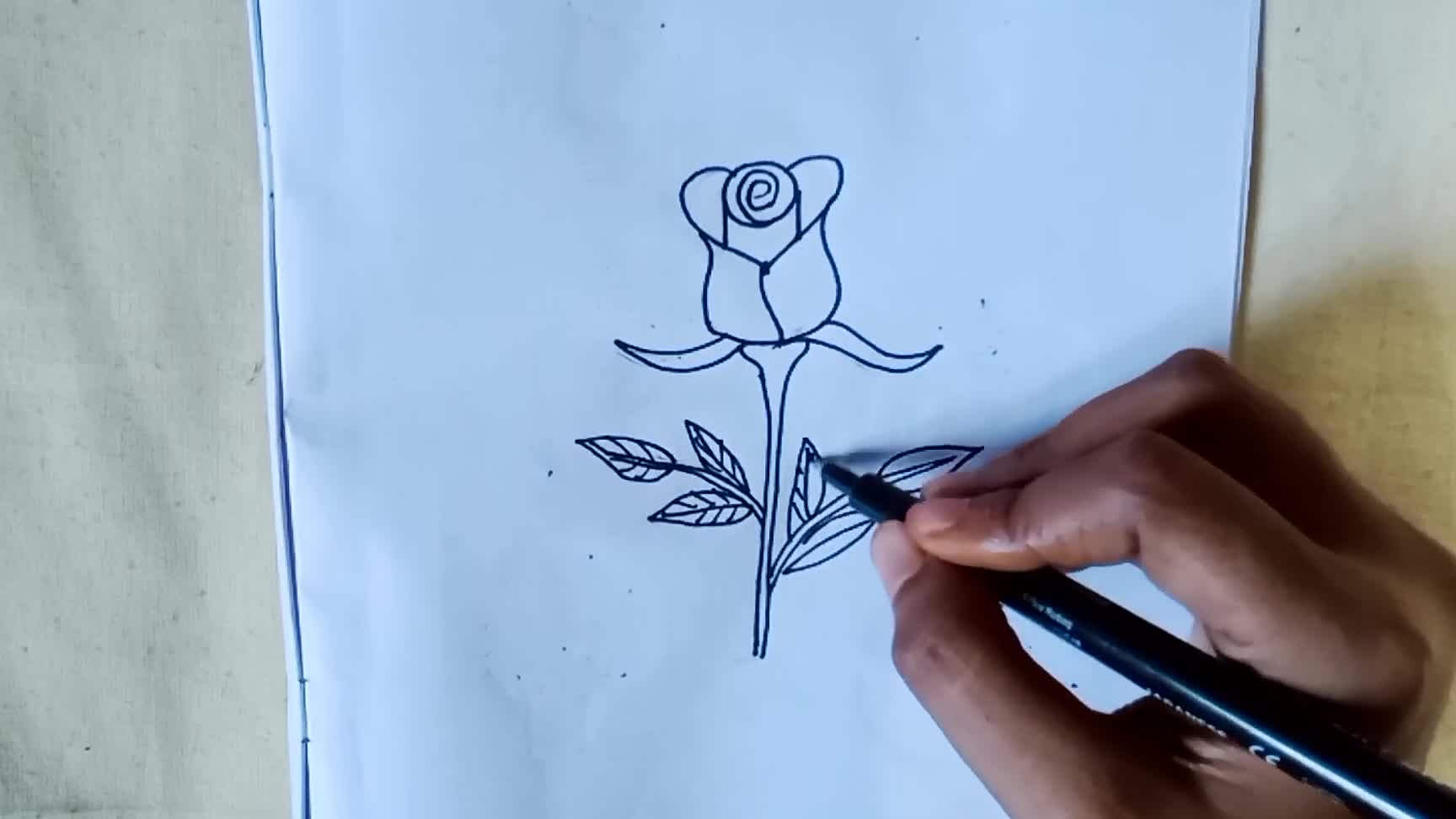 Rose drawing for beginnershow to draw Roseflower drawing for beginners