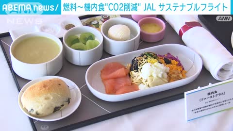 JALの“環境配慮”フライト 燃料はもちろん機内食も(2022年11月19日)