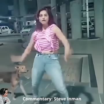 Even dogs are fed up with aspiring TikTok dancers.