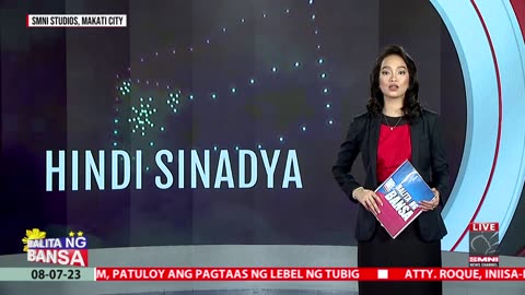 Roque, naniniwalang hindi sinadya ang pagkabaliktad ng Watawat ng Pilipinas sa isang drone show