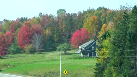 Fall Foliage