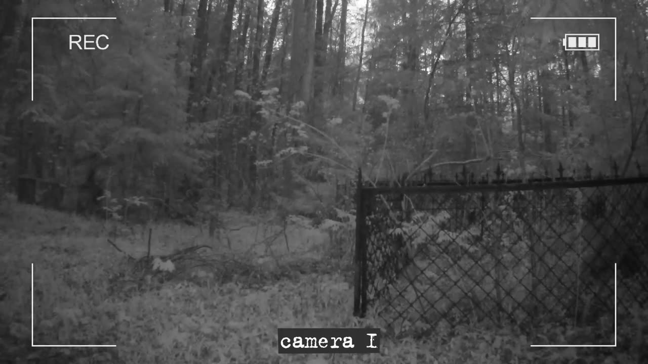 INSTALLED CAMERAS IN THE CEMETERY AND FOILED A REAL GHOST