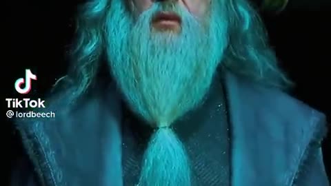 Voldemort vs Dumbledor - Harry Potter