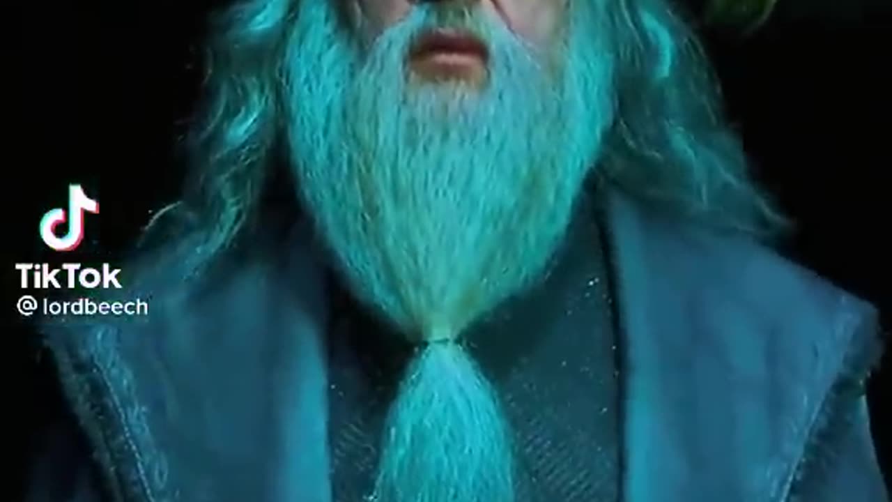 Voldemort vs Dumbledor - Harry Potter