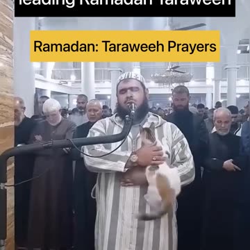 Cat jumps on imam leading Ramadan prayers in Algeria #youtubeshorts #youtube #ytshorts #shorts