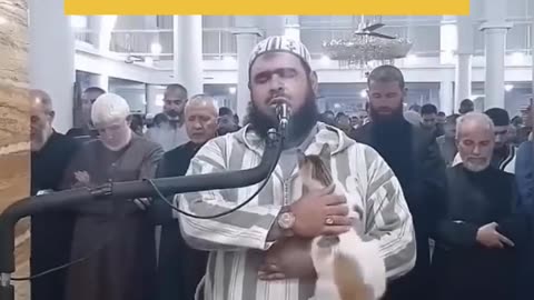 Cat jumps on imam leading Ramadan prayers in Algeria #youtubeshorts #youtube #ytshorts #shorts