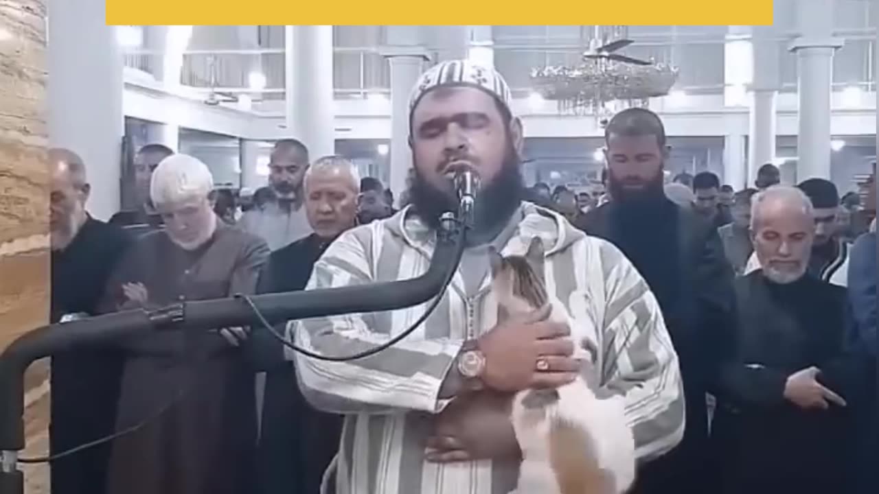 Cat jumps on imam leading Ramadan prayers in Algeria #youtubeshorts #youtube #ytshorts #shorts