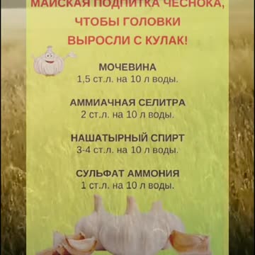 TОРЕНЕ ПРЕЗ МАЙ СЪС СРЕДСТВА ОКОЛО НАС