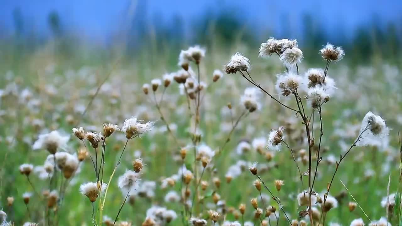 One day, I was enjoying nature somewhere beautiful and quiet