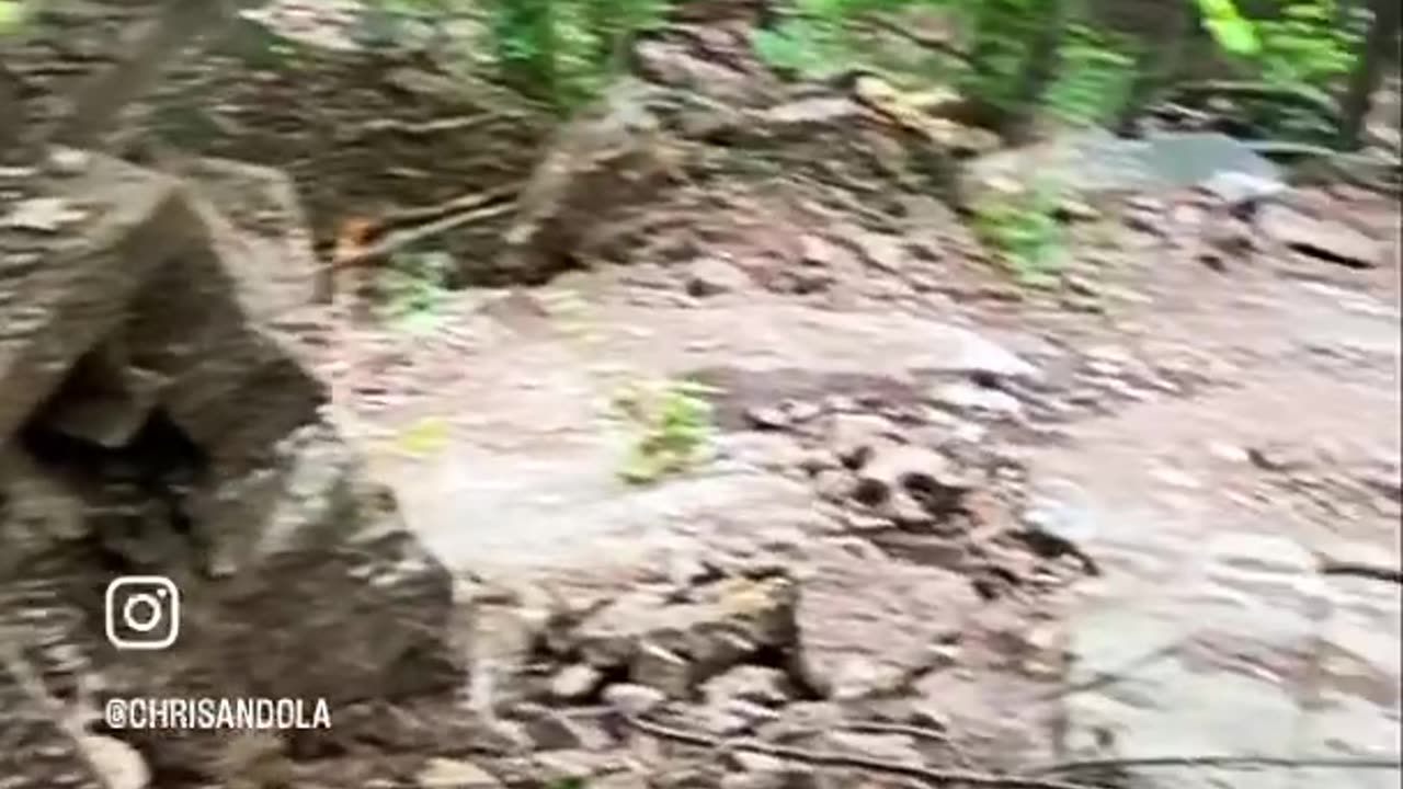 STORM WASHED OUT TRAIL BY BRIDGE