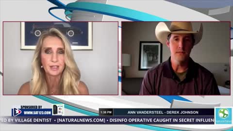 ⚡️ Ann Vandersteel ft. Derek Johnson Interview (HUGE Intel)