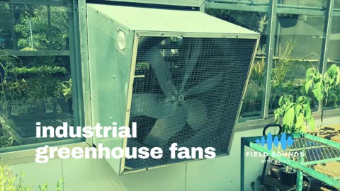 Listen to industrial fans on a greenhouse