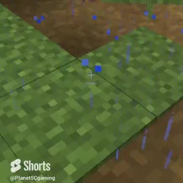 A Collection of Shorts #3