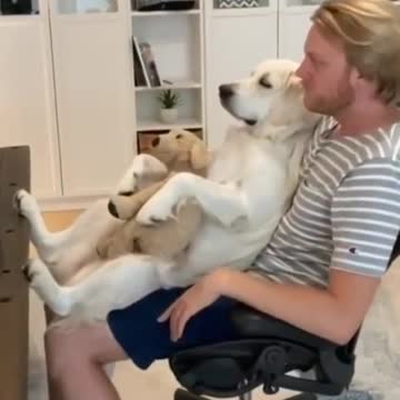 Watching with Daddy is relaxing.mp4