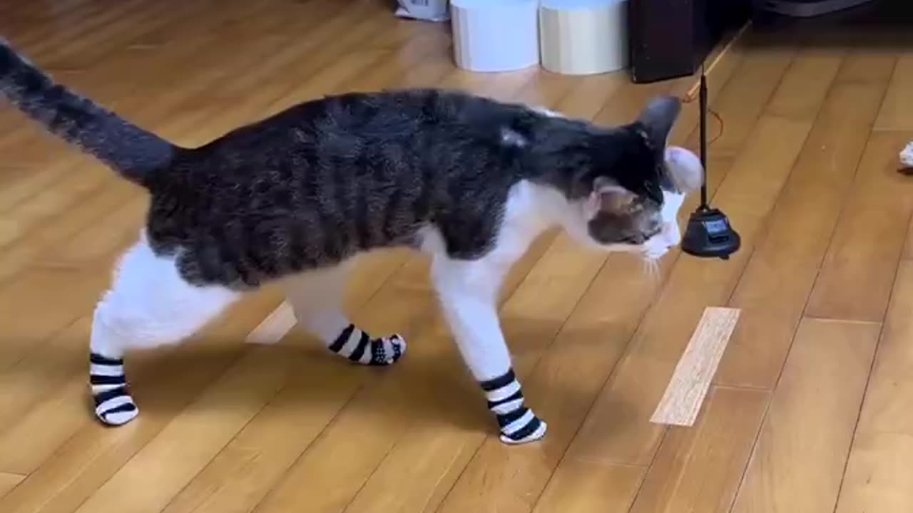 Funny removing socks