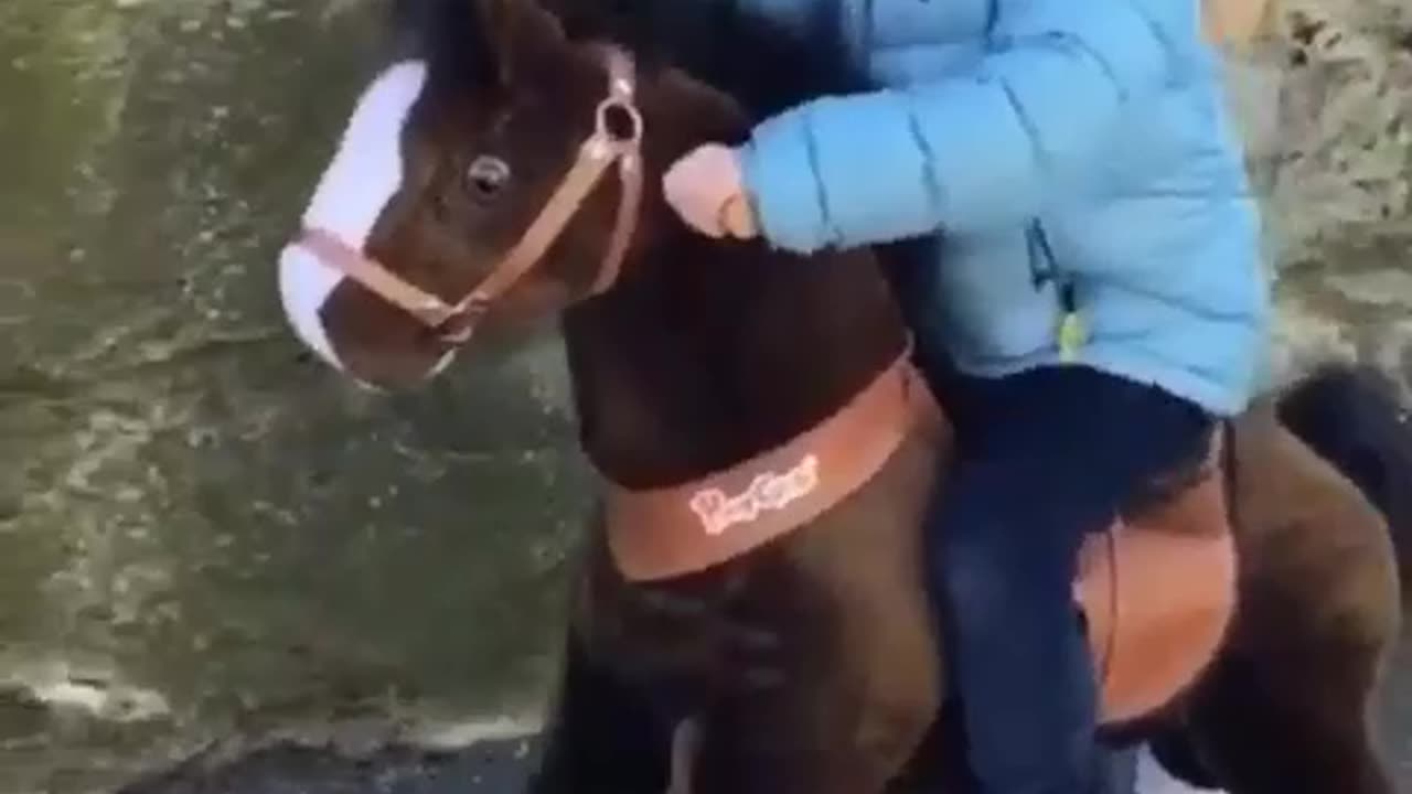 Cowboy Walking Horse Toy