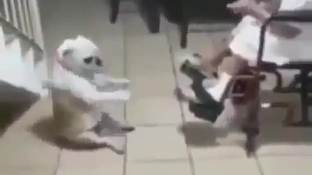 No man is content