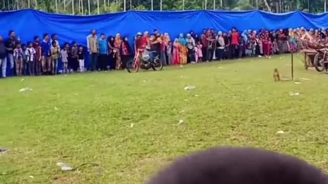 Cilikane khetek mbok pengin ngertii ðŸ¤