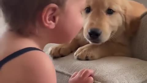 Baby Kisses Puppy! Offical video