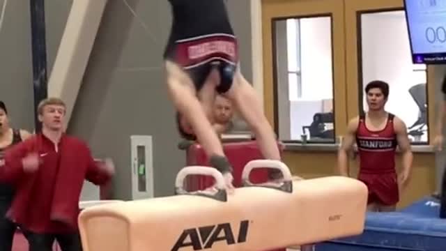 What people expect D1Gymnastics practices to looklike: