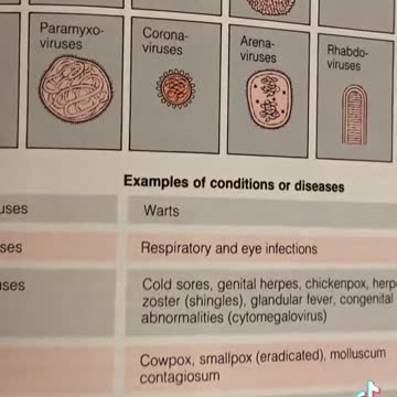 Imagine that 🧐🧐