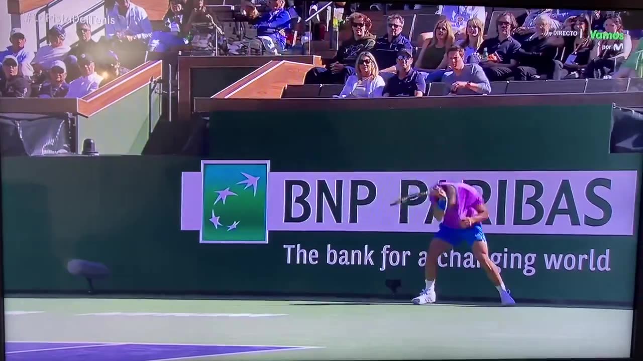 match between Carlos Alcaraz and Zverev suspended today because a swarm of bees invaded the court.