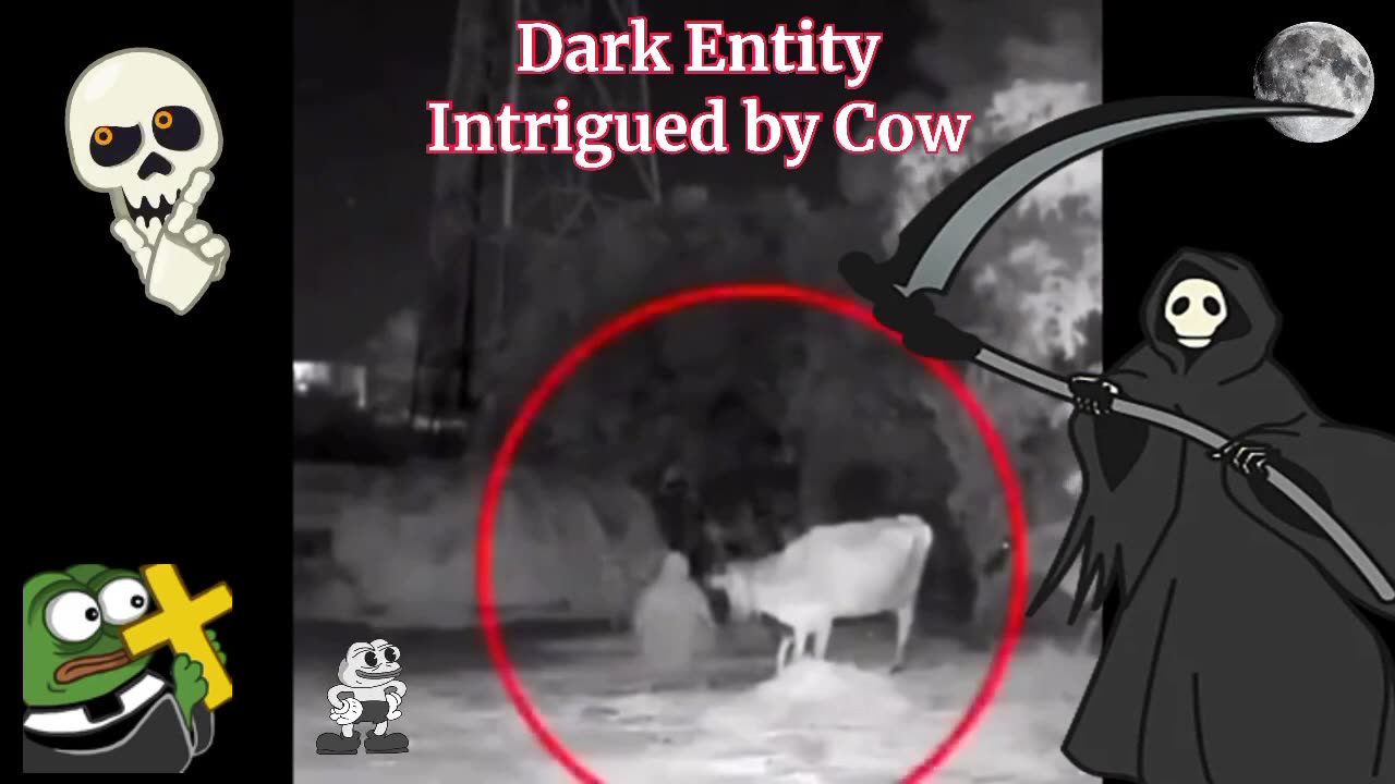 DARK ENTITY INTRIGUED BY COW