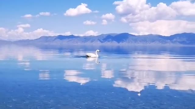 beautiful scenery