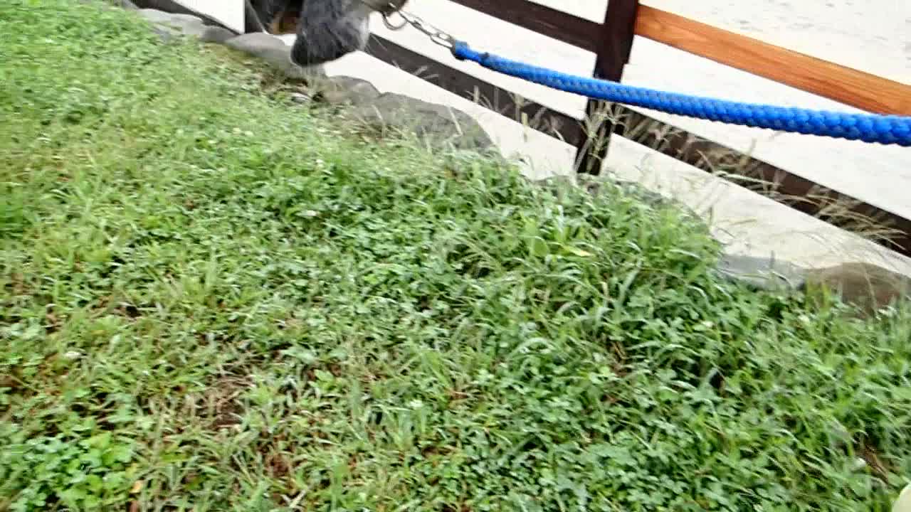 Pooh-chan eat and walk-1