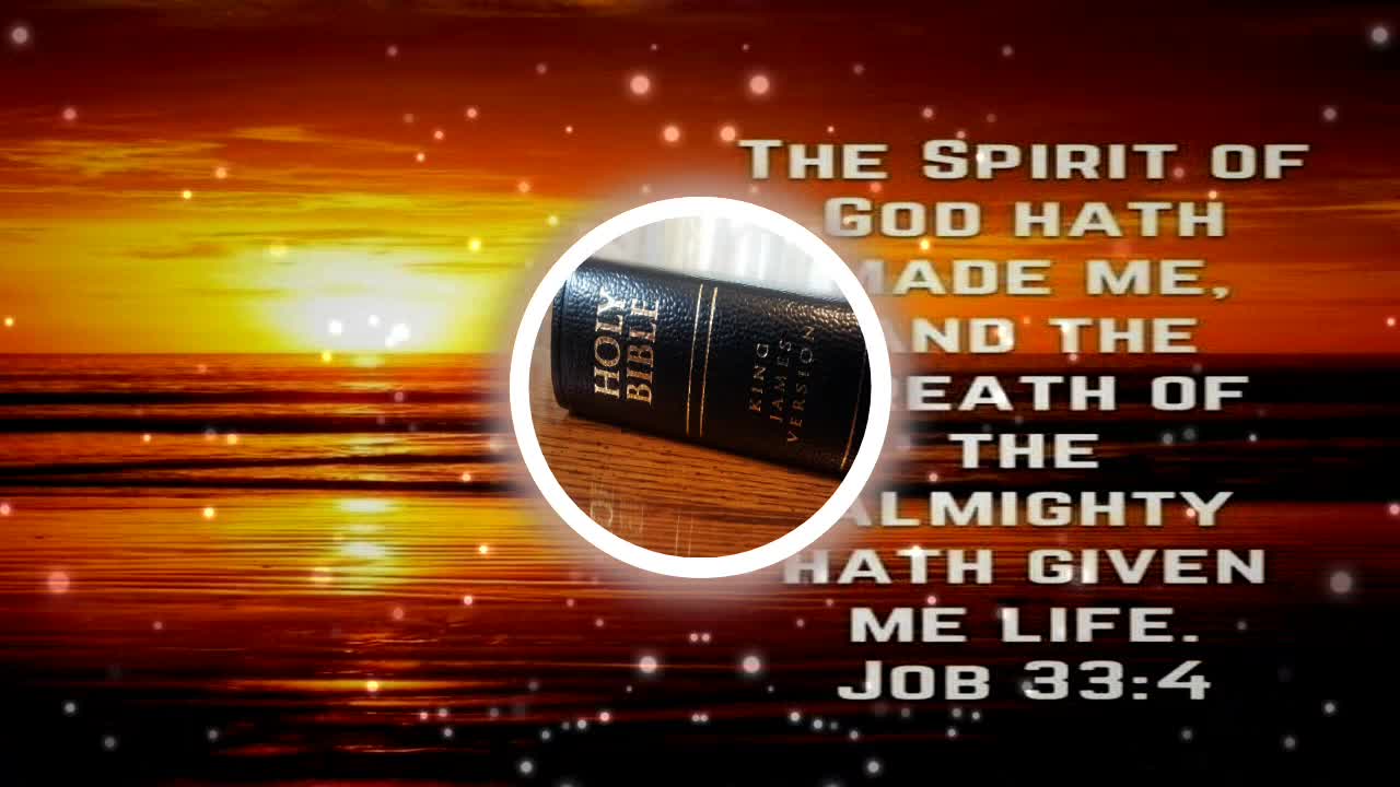 Holy Bible Job 33