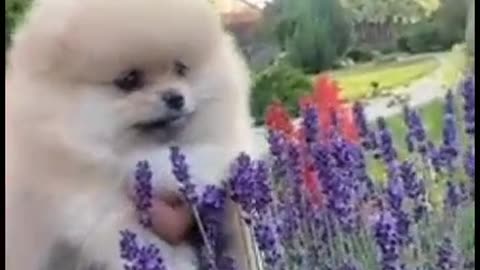 Cute 😍 #creatures
