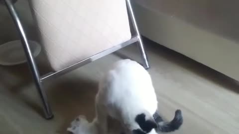 🙈🙈🙈