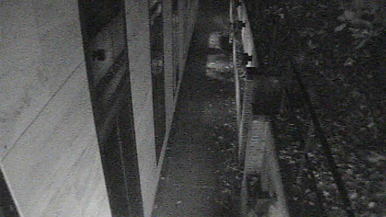 1457HSOB01GroundSoutheast_2021-01-06_04h33min39s137ms.mp4