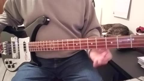 Cheap Trick - I Want You Want Me Bass Cover