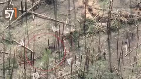 War in ukraine
