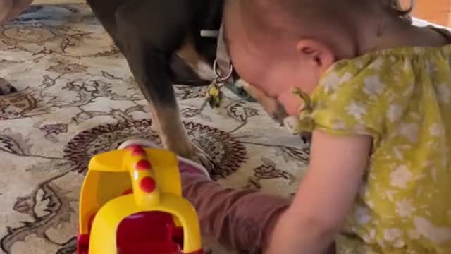 adorable baby kissing black puppy