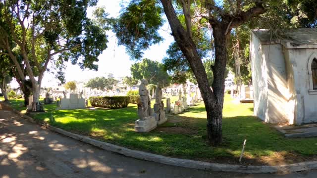 A Cemetery in Mexico🪦 Salute...