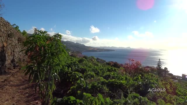 CROSSWIND Landings at MADEIRA Pure ADRENALINE Plane Spotting