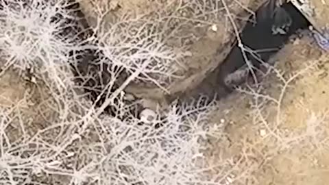 Ukrainian Soldier Working to Clear a Russian Dugout