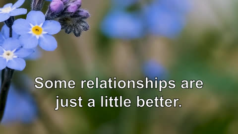 Not every relationship is the same. Some relationships are just a little better.