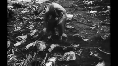 German_personnel_sift_through_the_remains_of_RAF plane