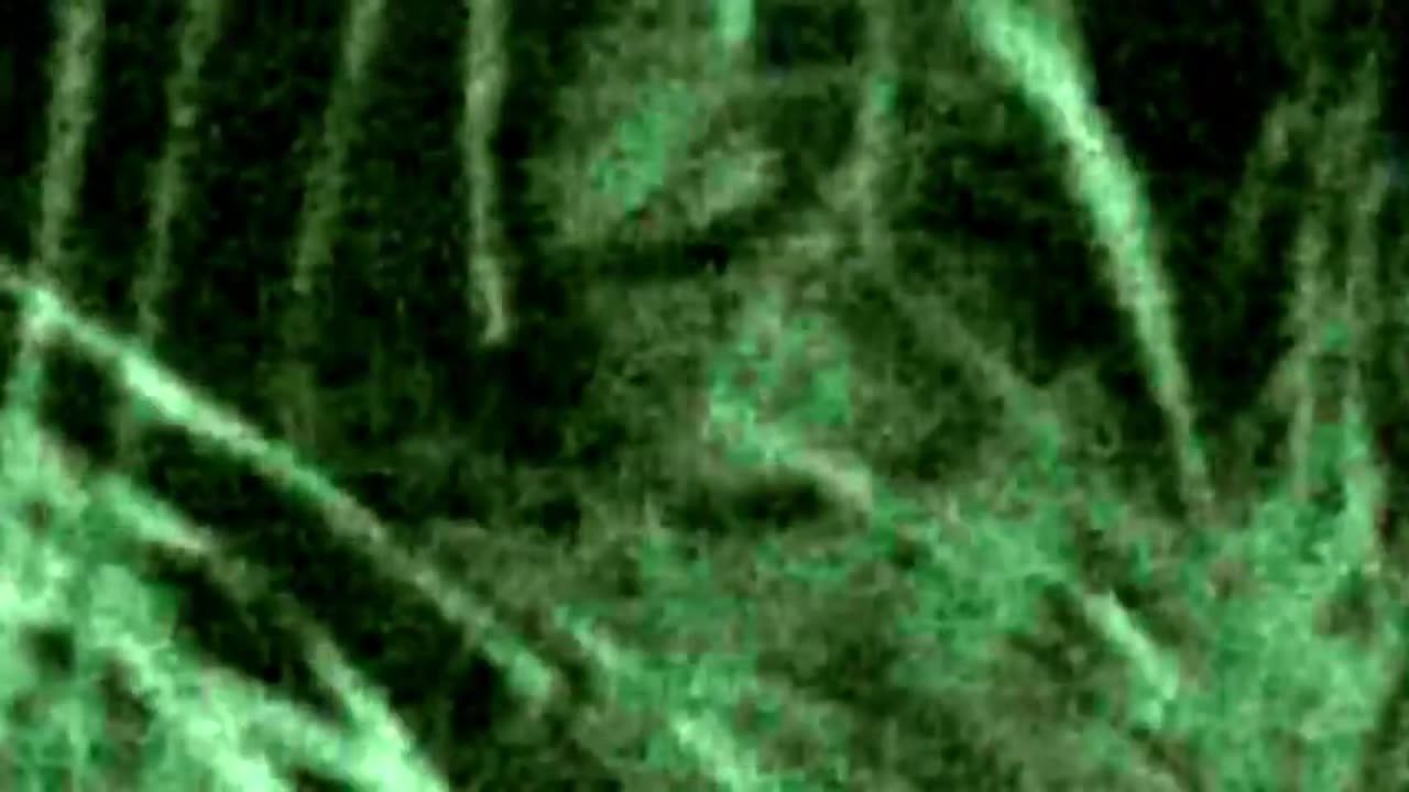 Ex autoridade revela evidências de veículos alienígenas intactos estudados e omitidos