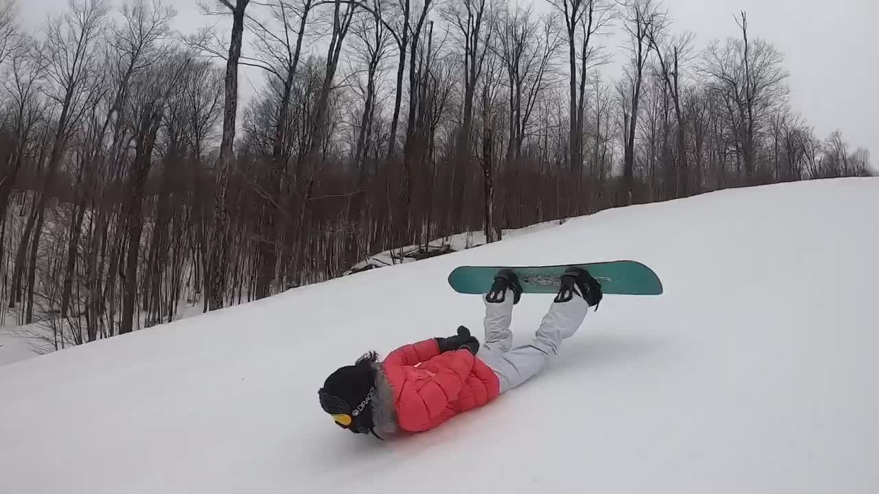 Penguin slopes ride