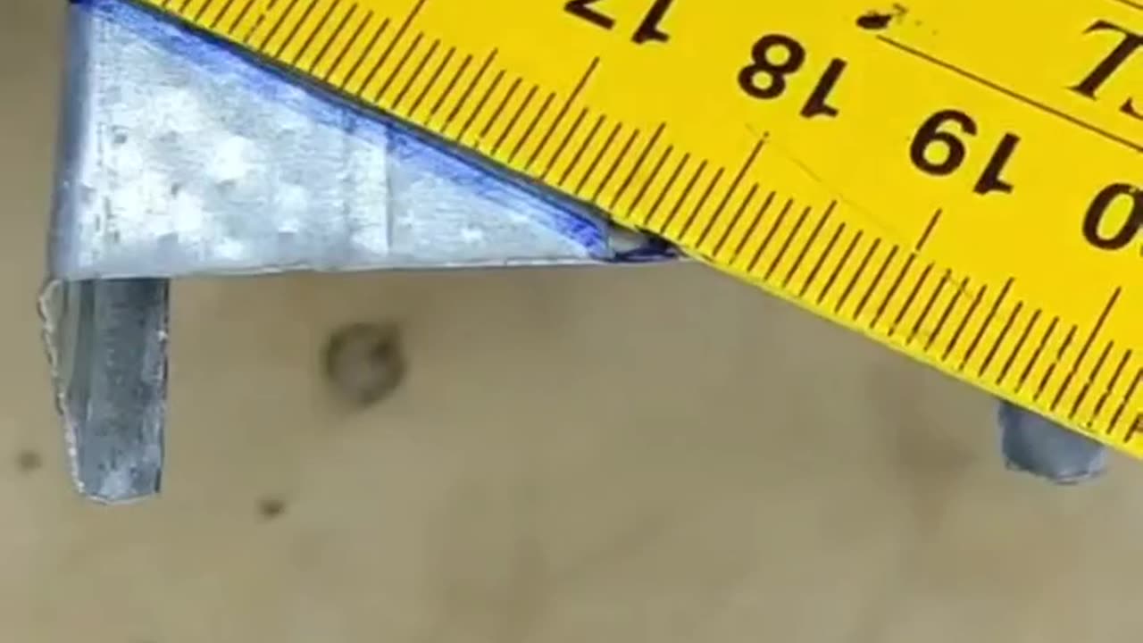 MUST SEE