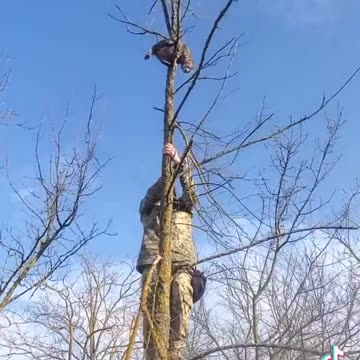 Ukrainian Rescues Cat Stuck in Tree