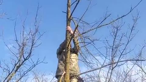 Ukrainian Rescues Cat Stuck in Tree