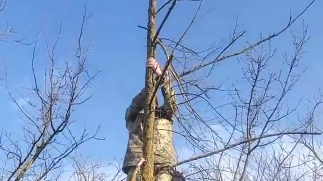 Ukrainian Rescues Cat Stuck in Tree